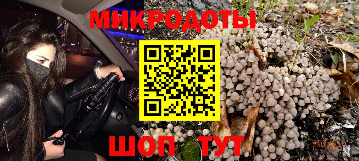 Галлюциногенные грибы прущие грибы Кстово